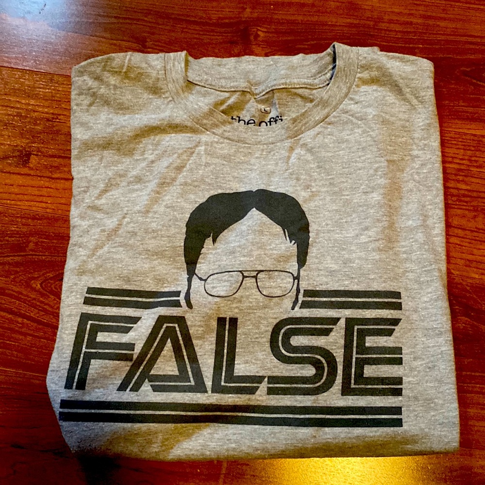 The Office Dwight Schrute False Gray Short Sleeve T Shirt Men's L 90% Cotton